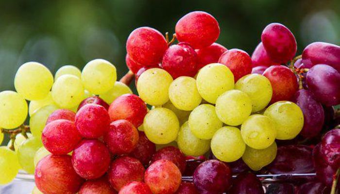 raisins, Prévention des maladies