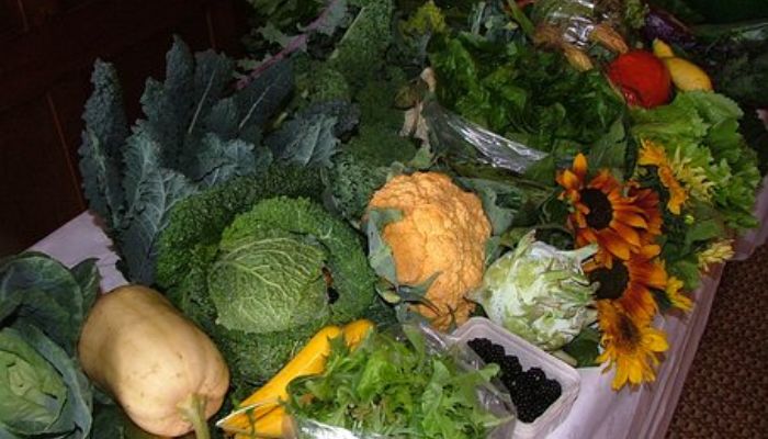 salade de chou rouge
legume en e
légume en e
les fruits et les légumes